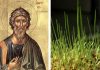 10 Superstitii si obiceiuri de Sfantul Andrei