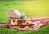 Iesirea la picnic, o aventura culinara!