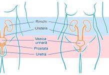 Ce sunt infectiile tractului urinar?