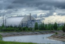 Cernobalul a devenit un refugiu pentru animale salbatice la 36 de ani de la accidentul nuclear