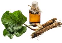 Radacina de brusture: proprietati medicinale si contraindicatii