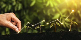 Economia verde si economia ecologica: cat de diferite sunt cele doua concepte?