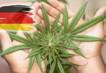Legalizarea marijuanei, un nou plan aprobat de Germania