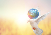 90 de citate despre pace si pacea interioara