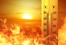 Ar putea deveni „noua normalitate” temperaturile record de caldura din ultimii ani?
