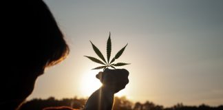 Thailanda interzice consumul de canabis, la 18 luni dupa dezincriminarea istorica