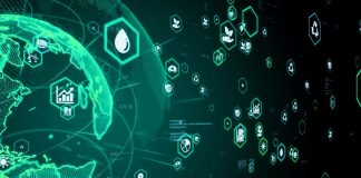 Sustenabilitatea, un factor de decizie important în carieră pentru Generația Z